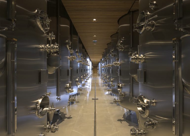 Site Vinicole Champagne Barons de Rothschild, Oger - Architecte : Pace Architectes